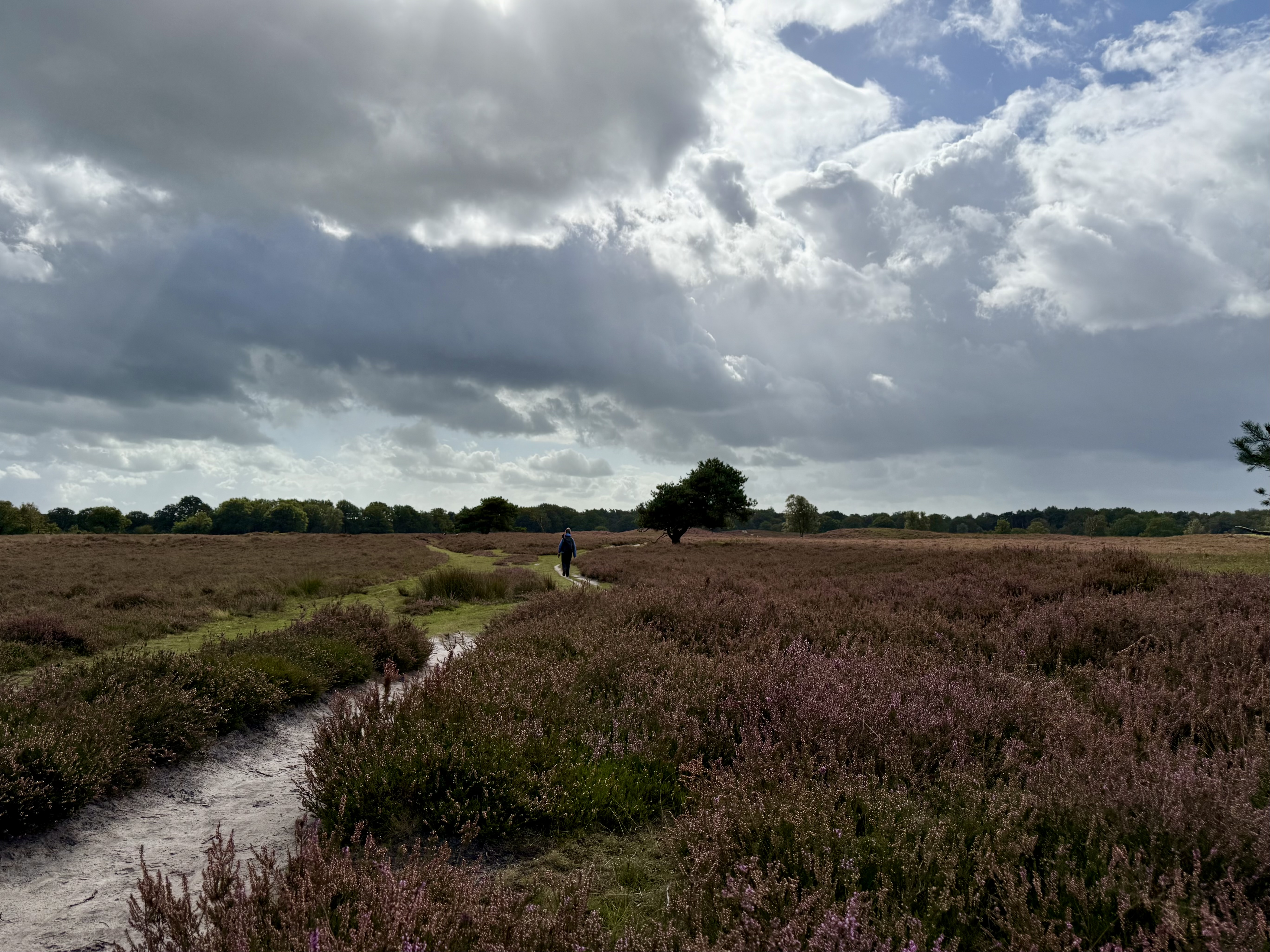 van Pieterburen naar Rolde